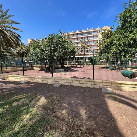 Parque Jardin 大加那利岛拉斯帕尔马斯
